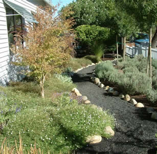 Meadow and Path Garden